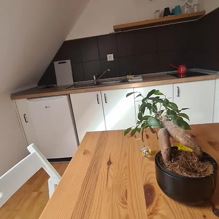 Apartment Vela